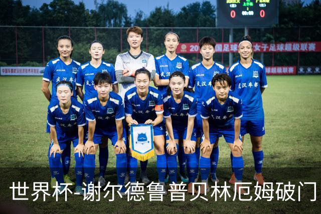世界杯-谢尔德鲁普贝林厄姆破门 挪威半场暂1-1英格兰