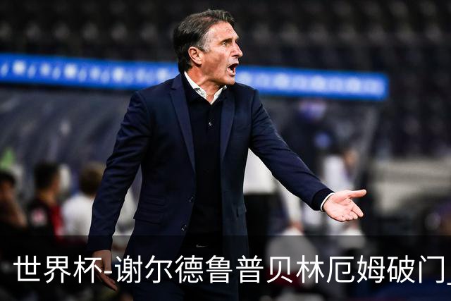 世界杯-谢尔德鲁普贝林厄姆破门 挪威半场暂1-1英格兰