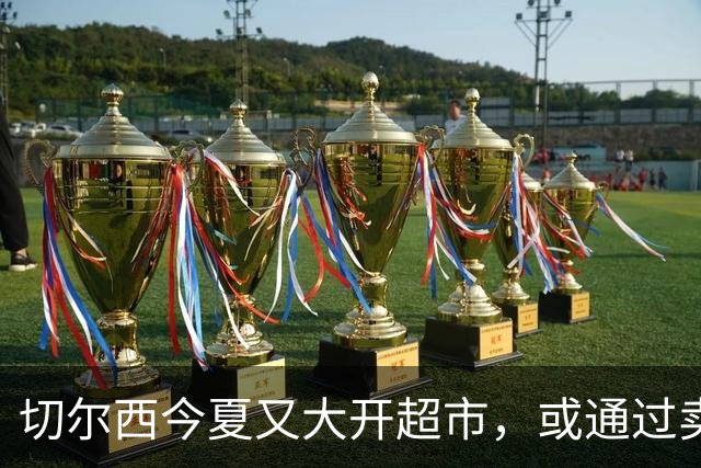 切尔西今夏又大开超市，或通过卖人获利3亿镑，两人开价太高直接吓退买家