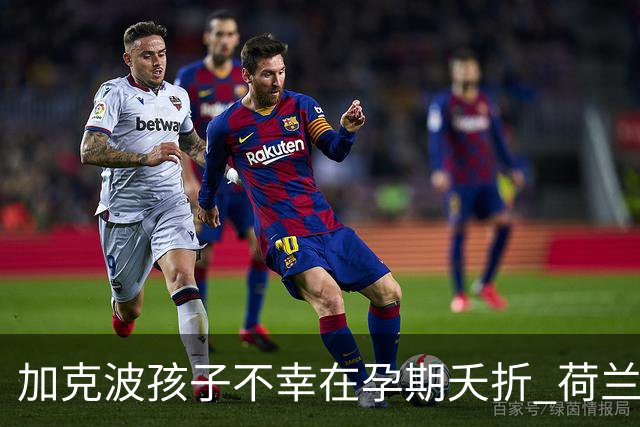 加克波孩子不幸在孕期夭折 荷兰足协：球员愿留队征战