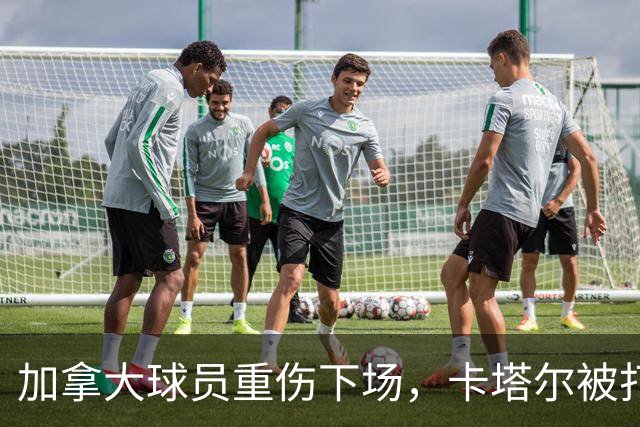 加拿大球员重伤下场，卡塔尔被打爆，“输球又输人”