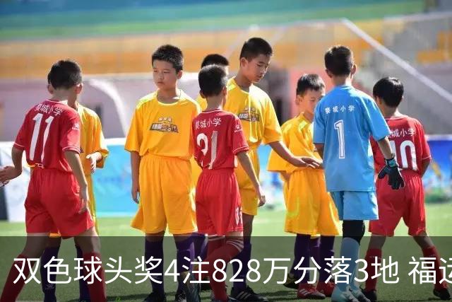 双色球头奖4注828万分落3地 福运奖开950万注