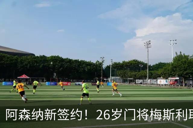 阿森纳新签约！26岁门将梅斯利耶免费加盟，成为拉亚的替补人选