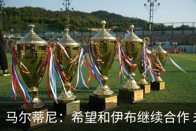 马尔蒂尼：希望和伊布继续合作 未和凯西达成一致